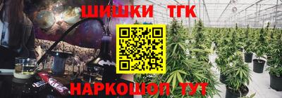 хмурый Бийск