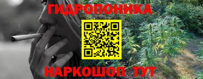 хмурый Бийск