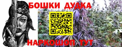 хмурый Бийск