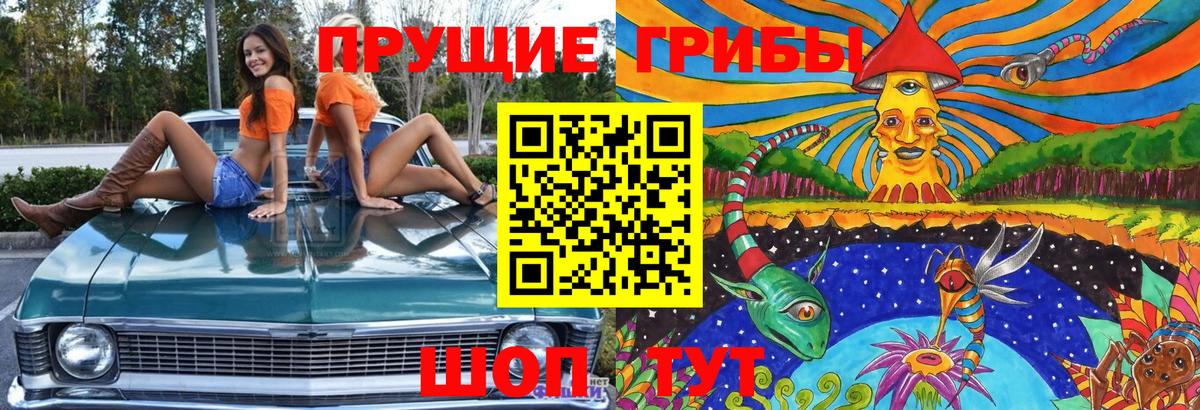 Галлюциногенные грибы GOLDEN TEACHER Когалым